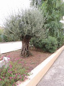 2018 10 14 TOULON ASSEMBLEE GENERALE JUDB (5)
